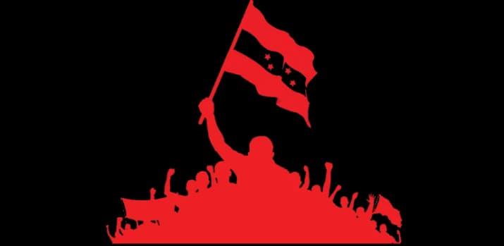 Congress Flag